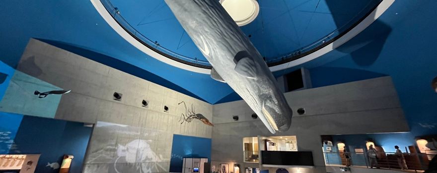 Science Museum of Whale and Sea