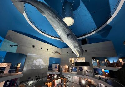 Science Museum of Whale and Sea