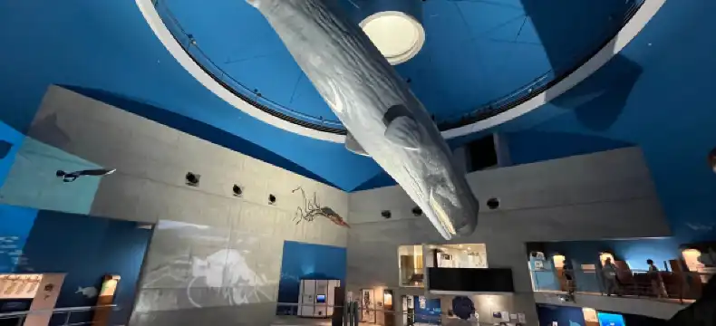 山田町のホテル