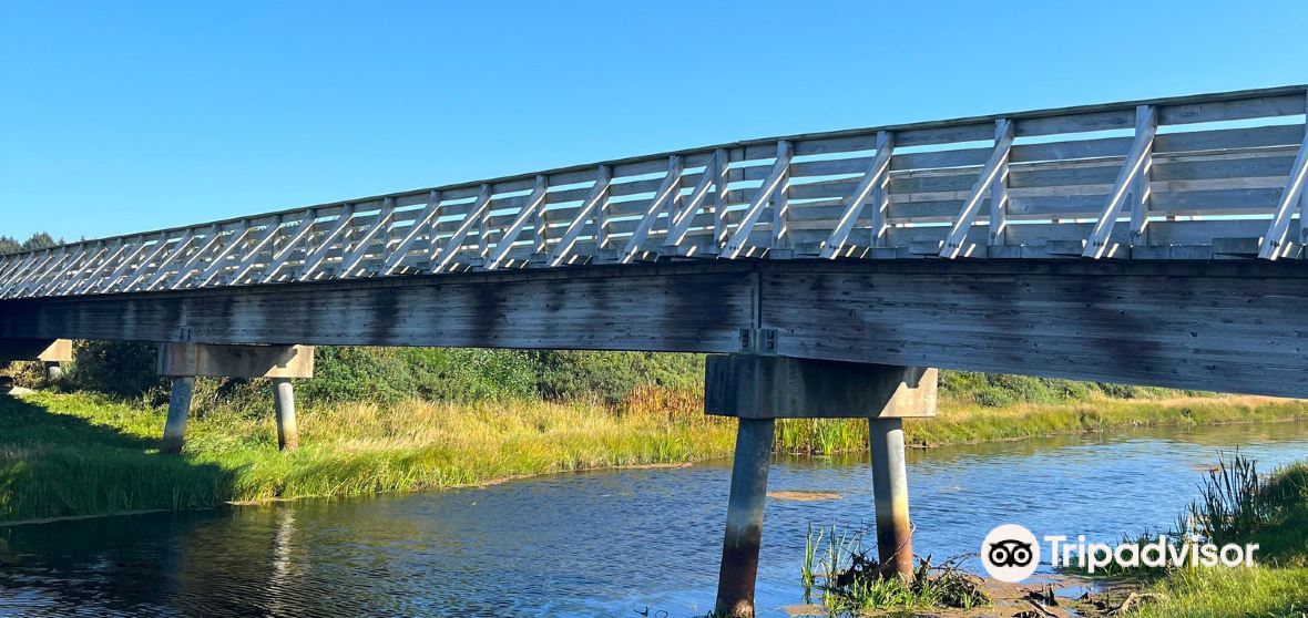 Things to Do in Copalis Beach in 2024 Top Attractions, Local Food