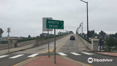 Manette Bridge