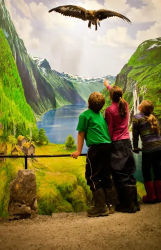 Norwegian Fjord Centre