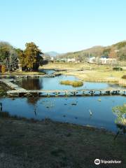 厳島湿生公園