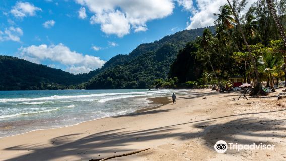 Maracas Beach