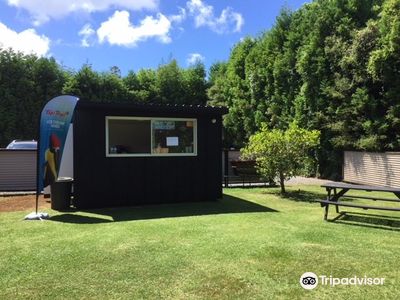 The Parrot Place