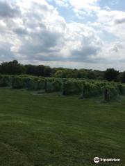 Ladoga Ridge Winery