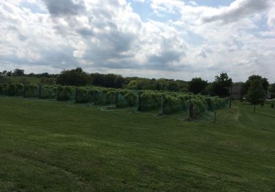 Ladoga Ridge Winery