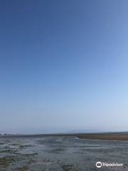 Sandymount Strand