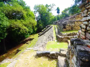 Archaeological Site of Yaxchilán