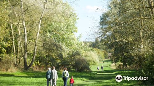 The Yorkshire Arboretum