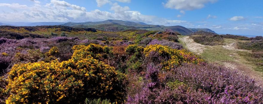Conwy Mountain