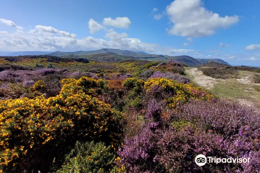 Conwy Mountain