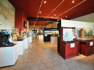 Musee Les Arts du sucre et du chocolat