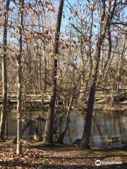 The Bog Garden at Benjamin Park