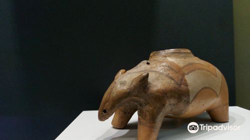 Cucuteni Neolithic Art Museum