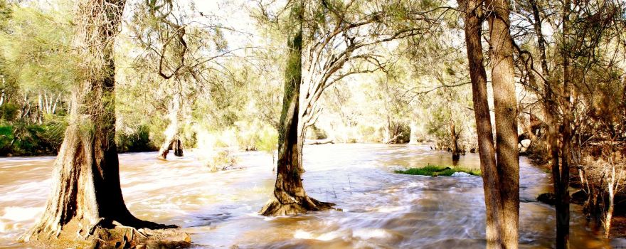 Walyunga National Park