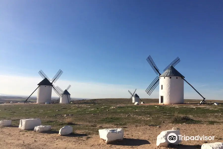 Windmills Manchegos