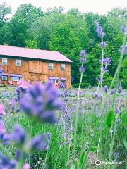 Peace Valley Lavender Farm