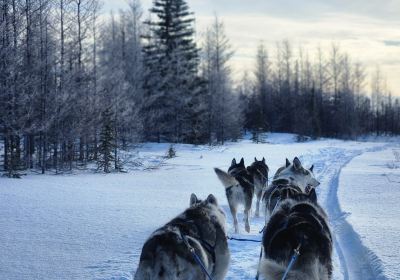 Blue Sky Expeditions