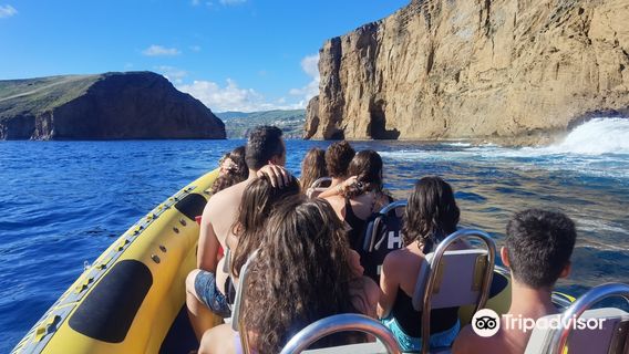 Water4fun - Whale Watching Terceira island