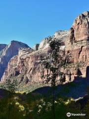 Weeping Rock Trail