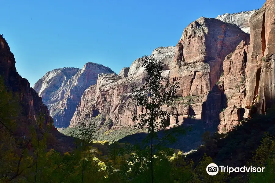 Weeping Rock Trail