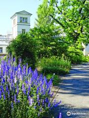 Botanical Garden Leipzig