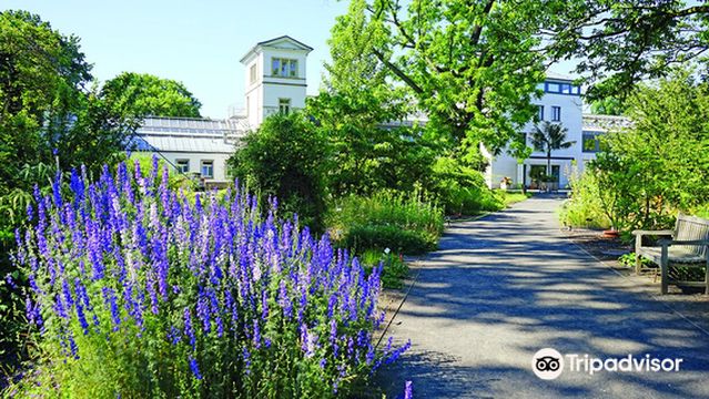 Botanical Garden Leipzig