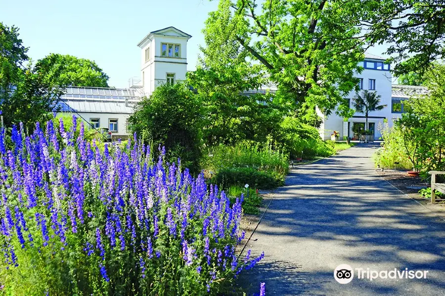 Botanischer Garten