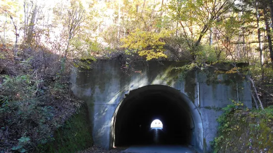 Meitsu Tunnel