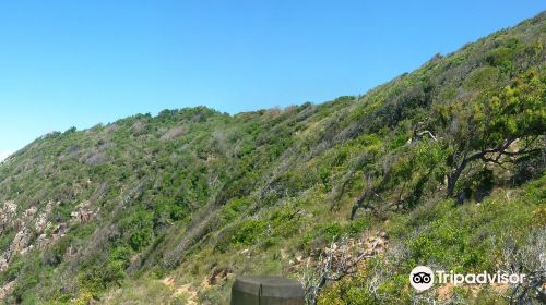 Bluff Point Walking Trak