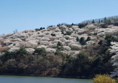 湖岩美術館