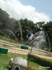 Brindavana Gardens
