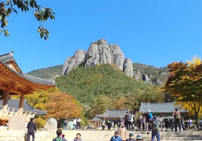 Cheongsong-gun