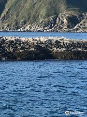 Gjesvaerstappan Nesting Cliffs, Nordkapp