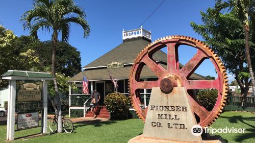 Mauigrown Coffee Co Store