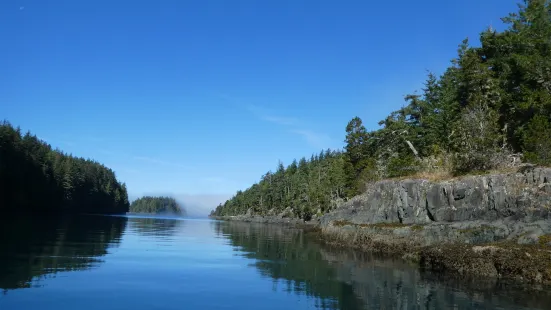 Seasmoke Whale Watching