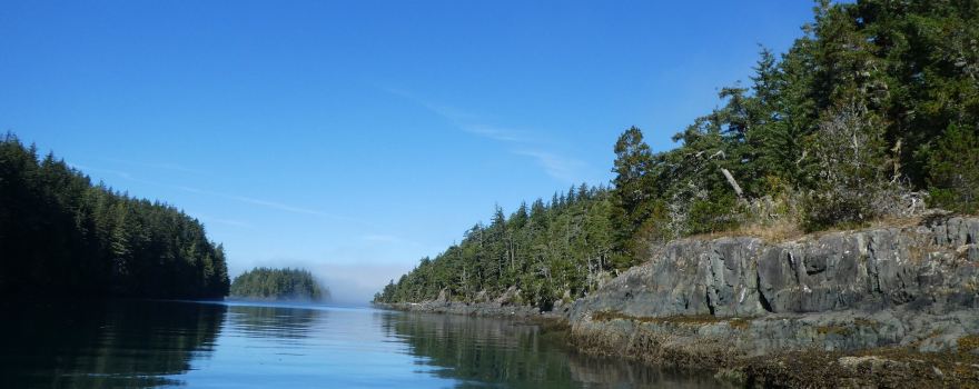Seasmoke Whale Watching