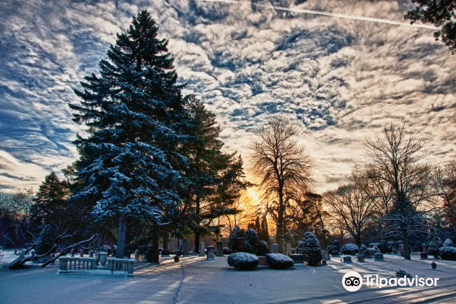 Historic Woodlawn Cemetery