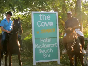 The Cove Horse Riding Stables