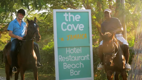 The Cove Horse Riding Stables