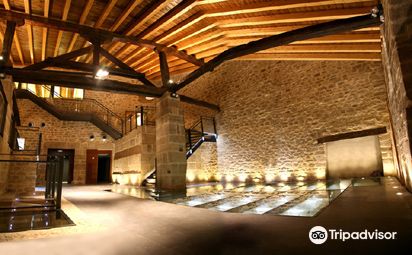 Bodega Casa Primicia