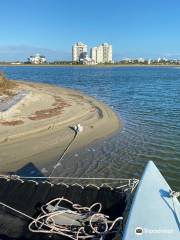 Bay Wind Sailing Charters