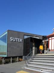 The Suter Art Gallery