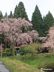 多宝院