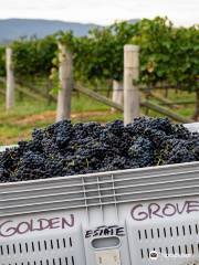 Golden Grove Estate Wines