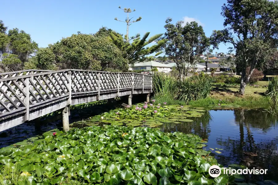 Maygrove Lake