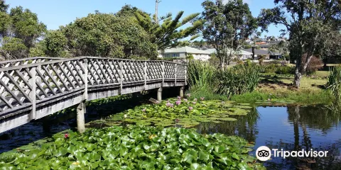 Lake Maygrove