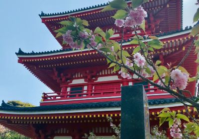 Saikyoji Temple