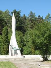 SNP Memorial (German)